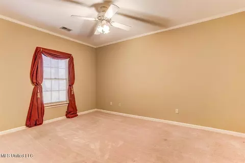 Other - 8500 E Cedar Lake Dr, Walls, MS 38680 photo 3 of 4