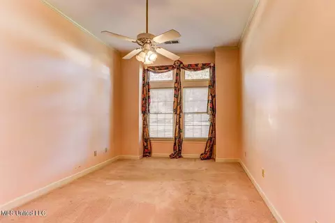 Other - 8500 E Cedar Lake Dr, Walls, MS 38680 photo 4 of 4