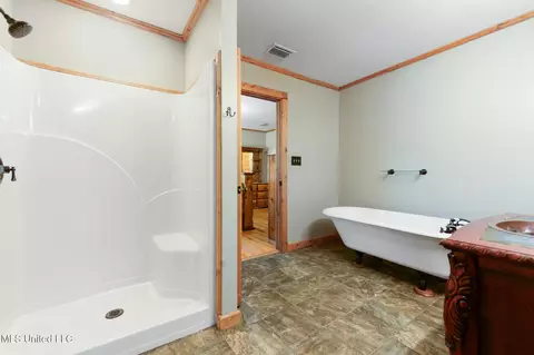 Bath - 126 Short Leaf Ln, Lucedale, MS 39452 photo 2 of 3