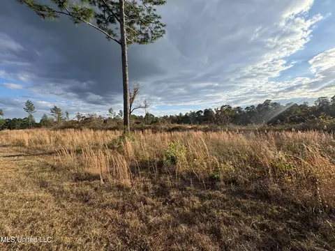 Matthew Johnson Road, Wiggins, MS 39577 photo 4