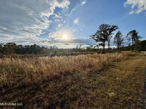 Matthew Johnson Road, Wiggins, MS 39577 photo 3