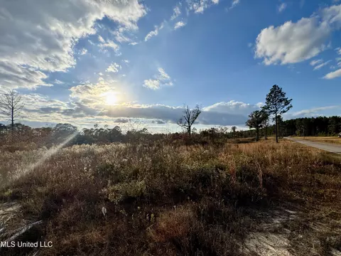Matthew Johnson Road, Wiggins, MS 39577 photo 5