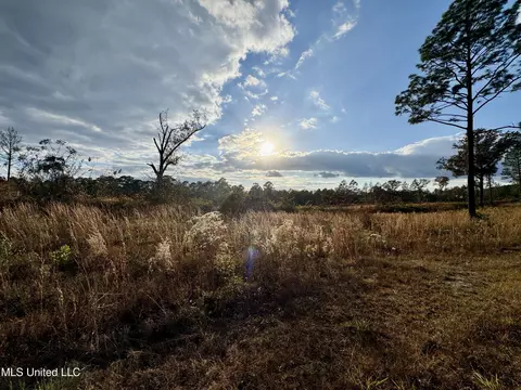 Matthew Johnson Road, Wiggins, MS 39577 photo 2