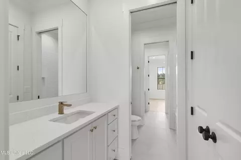 Bath - 376 Wellstone Pl, Madison, MS 39110 photo 5 of 5