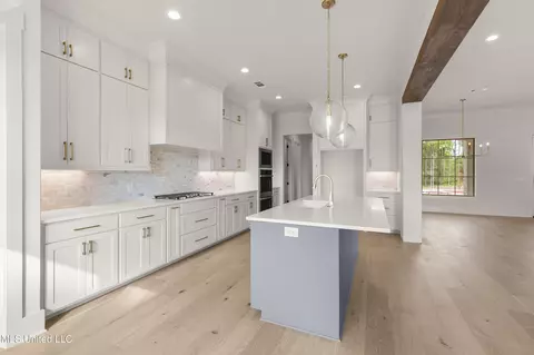 Kitchen - 376 Wellstone Pl, Madison, MS 39110 photo 2 of 2