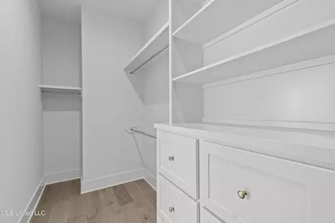 Other - 374 Wellstone Pl, Madison, MS 39110 photo 4 of 5