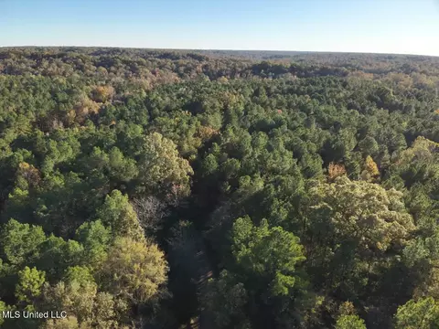 Perry Creek, Bentonia, MS 39040