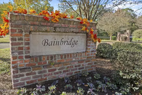 Other - 100 Trailbridge Way, Canton, MS 39046 photo 8 of 8
