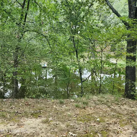 8321 Windersgate Dr, Olive Branch, MS 38654 photo 26