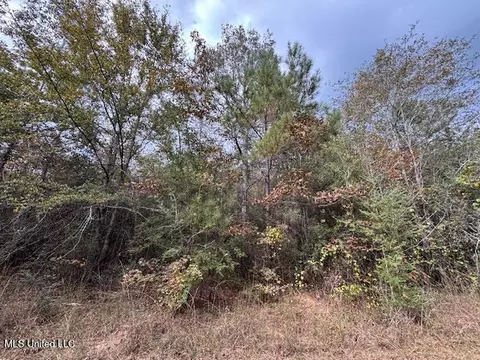 Old 24, Mccomb, MS 39648 photo 9