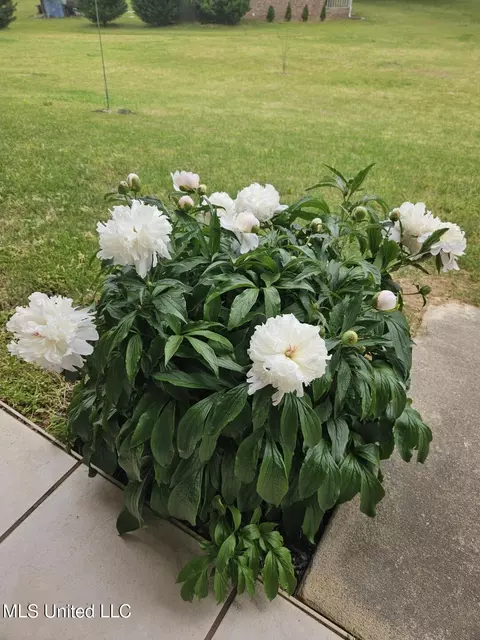 Other - 190 Anthony Dr, Nesbit, MS 38651 photo 16 of 16