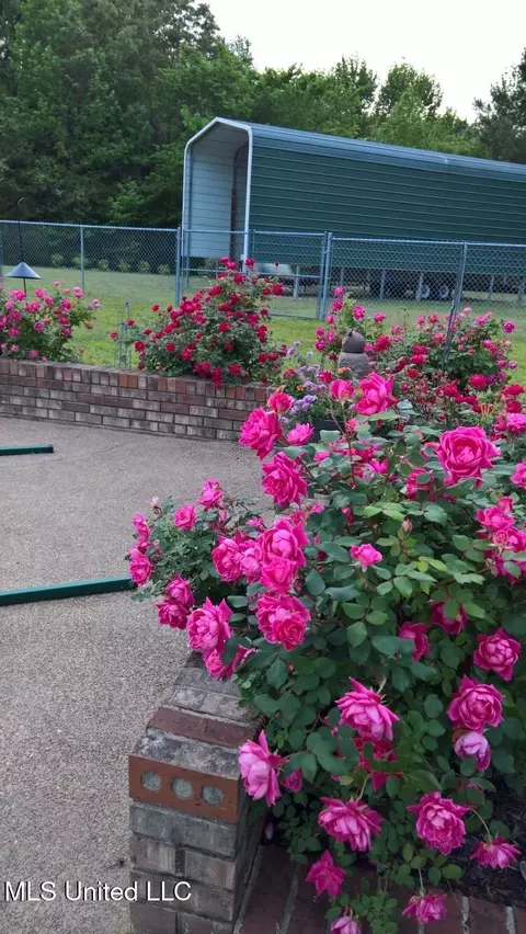 Exterior - 190 Anthony Dr, Nesbit, MS 38651 photo 11 of 12