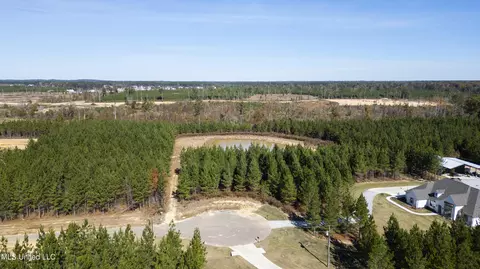 0 Freedom Ridge Ln, Brandon, MS 39047