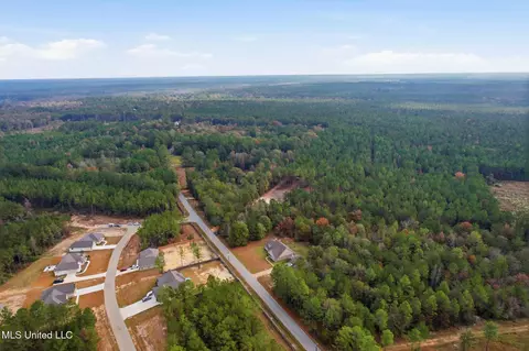 View/Area - 279 Todd Rd, Sumrall, MS 39482 photo 8 of 9