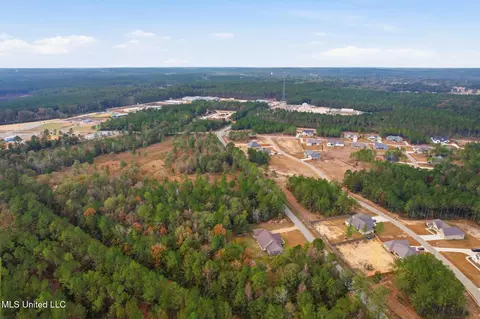 View/Area - 279 Todd Rd, Sumrall, MS 39482 photo 6 of 9