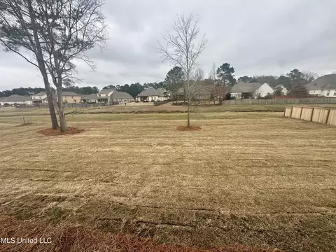 441 W Oak Cir, Madison, MS 39110 photo 35