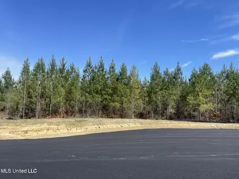 903 Old Glory Ln, Brandon, MS 39047 photo 5