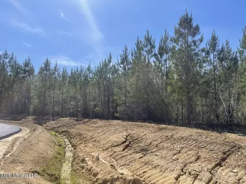 903 Old Glory Ln, Brandon, MS 39047 photo 3