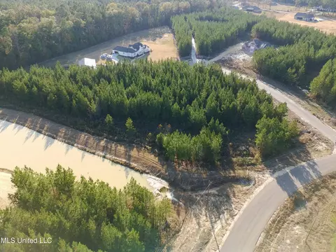 903 Old Glory Ln, Brandon, MS 39047 photo 2