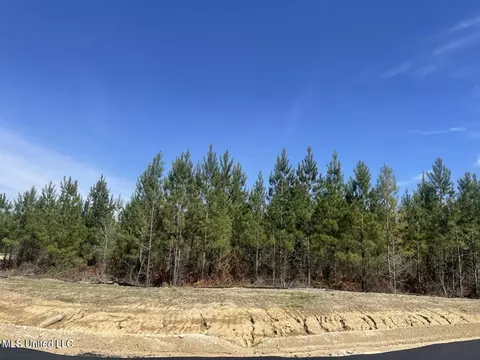 903 Old Glory Ln, Brandon, MS 39047 photo 6