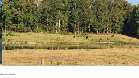 I55 Frontage Road, Terry, MS 39170 photo 4