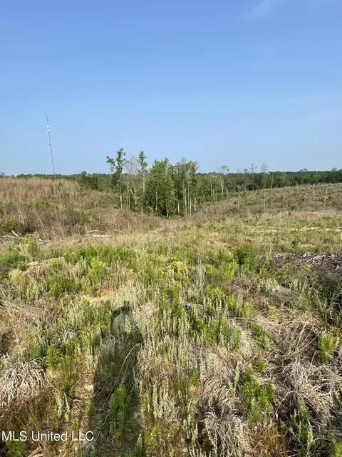 Co Rd 143, Carrollton, MS 38917 photo 10