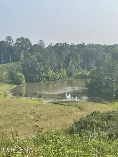 Co Rd 143, Carrollton, MS 38917 photo 5