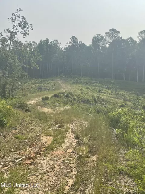 Co Rd 143, Carrollton, MS 38917 photo 4