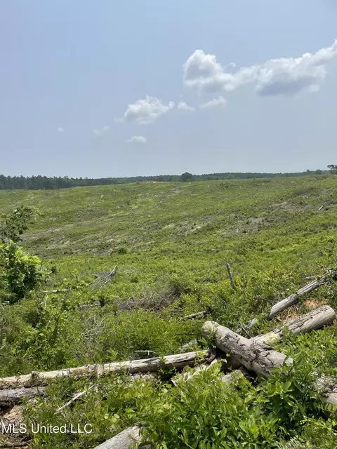 Co Rd 143, Carrollton, MS 38917
