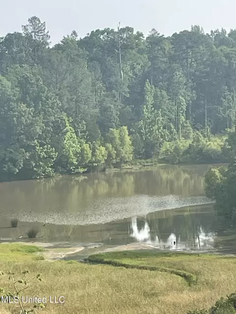Co Rd 143, Carrollton, MS 38917 photo 7