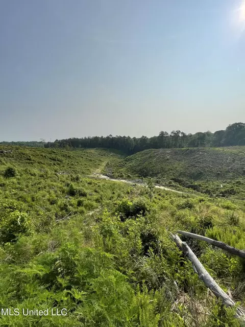 Co Rd 143, Carrollton, MS 38917 photo 9