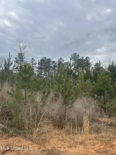 Co Rd 419, Calhoun City, MS 38916