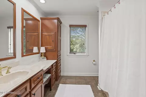 Bath - 282 Deer Haven Dr, Madison, MS 39110 photo 5 of 7