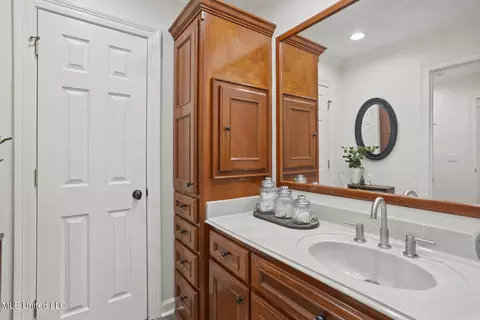 Bath - 282 Deer Haven Dr, Madison, MS 39110 photo 7 of 7