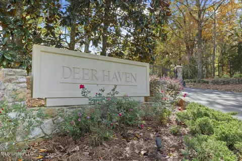 Other - 282 Deer Haven Dr, Madison, MS 39110 photo 17 of 17