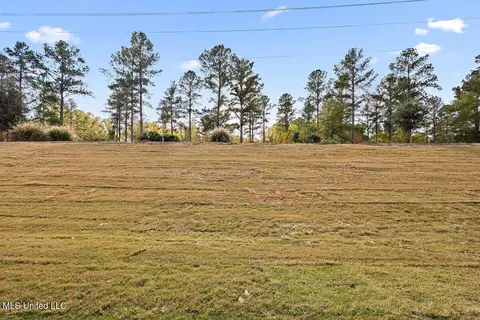 207 Lake Crest Dr, Madison, MS 39110 photo 41