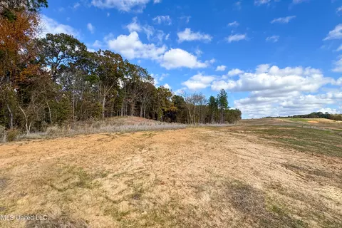 3 Hugh White State Park Road, Grenada, MS 38901 photo 5
