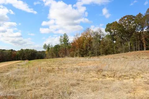 3 Hugh White State Park Road, Grenada, MS 38901 photo 2