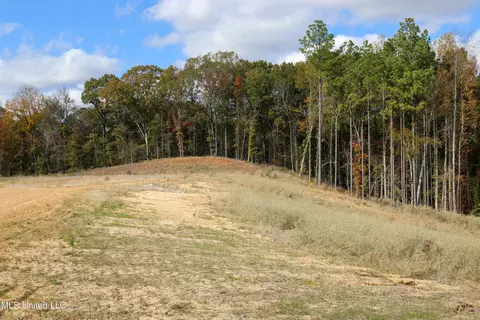 3 Hugh White State Park Road, Grenada, MS 38901 photo 6