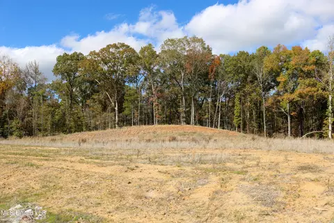 3 Hugh White State Park Road, Grenada, MS 38901 photo 4