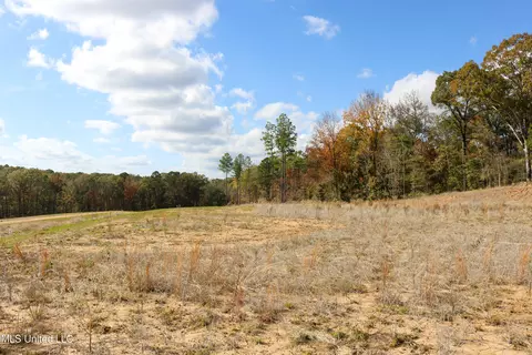 3 Hugh White State Park Road, Grenada, MS 38901 photo 3