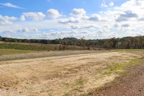 Tract 8 Hugh White State Park Road, Grenada, MS 38901