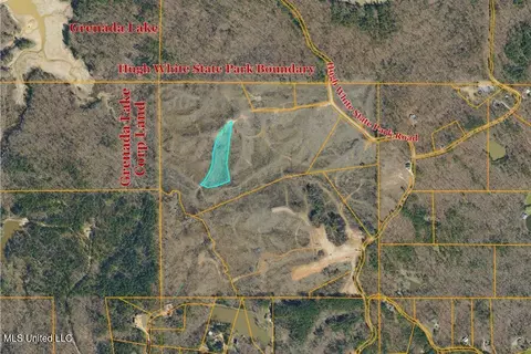 Tract 8 Hugh White State Park Road, Grenada, MS 38901 photo 6