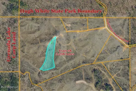Tract 8 Hugh White State Park Road, Grenada, MS 38901 photo 5