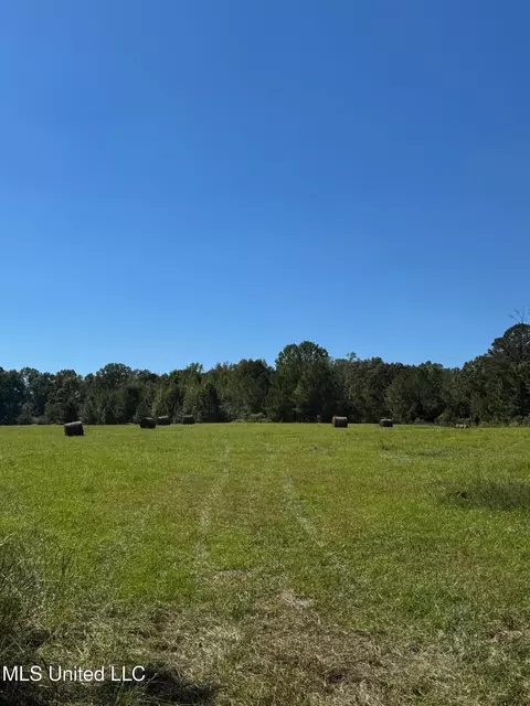 Parsons Road, Terry, MS 39170 photo 4