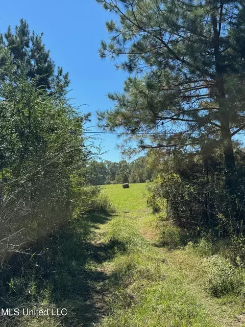 Parsons Road, Terry, MS 39170 photo 3