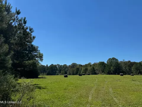 Parsons Road, Terry, MS 39170