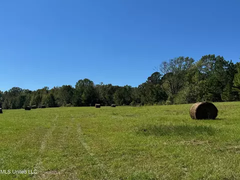Parsons Road, Terry, MS 39170 photo 5