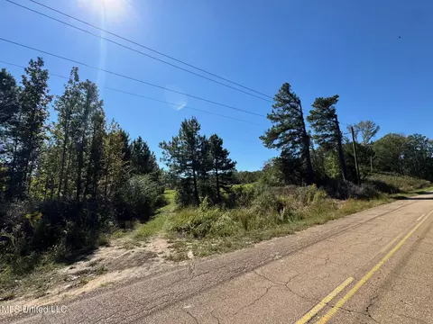 Parsons Road, Terry, MS 39170 photo 2