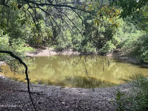 Little Creek Road, Beaumont, MS 39423